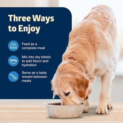 Image showing 6 th Blue Buffalo Freedom Grain-Free Senior Chicken Recipe Wet Dog Food, 12.5 oz.