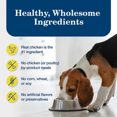 Image showing 5 th Blue Buffalo Homestyle Adult Healthy Weight Chicken Dinner Wet Dog Food, 12.5 oz.