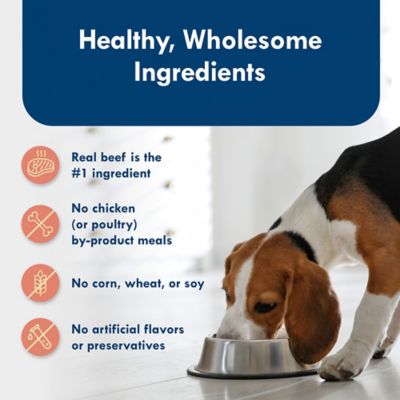 Image showing 5 th Blue Buffalo Delights Divine Delights Filet Mignon Flavor Pate, 3.5 oz.