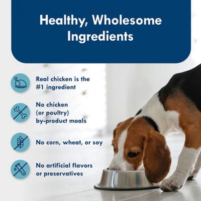 Image showing 5 th Blue Buffalo Delights Divine Delights Filet Grilled Chicken Flavor Pate, 3.5 oz.