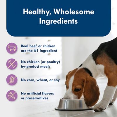 Image showing 5 th Blue Buffalo Delights Adult Top Sirloin and Grilled Chicken Pate Variety Pack Wet Dog Food, 3.5 oz., 12 pk.