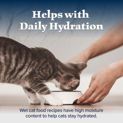 Image showing 6 th Blue Buffalo Wilderness Kitten Chicken Recipe Wet Cat Food, 3 oz.