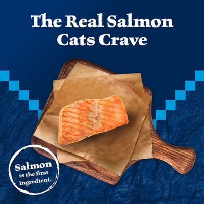 Image showing  Kitten Salmon Recipe Wet Cat Food, 3 oz.