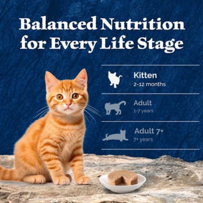 Image showing 7 th Blue Buffalo Wilderness Kitten Salmon Recipe Wet Cat Food, 3 oz.