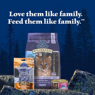 Image showing 8 th Blue Buffalo Wilderness Kitten Salmon Recipe Wet Cat Food, 3 oz.