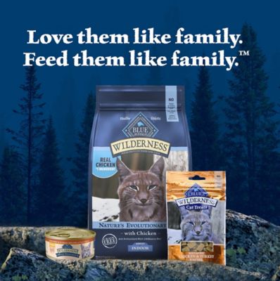 Image showing 8 th Blue Buffalo Wilderness Wild Delights Flaked Chicken and Turkey Recipe Wet Cat Food, 5.5 oz.
