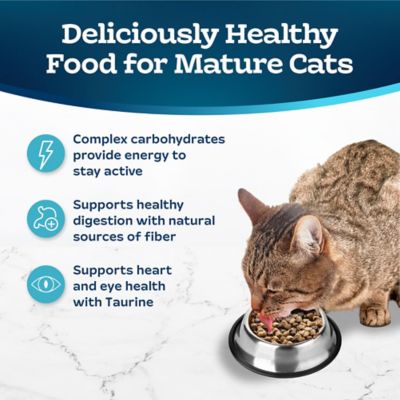 Image showing  Mature Cat Chicken & Brown Rice Dry Cat Food, 7 lb. Bag