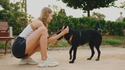 Image showing  Adult Mixed Grill Chicken & Beef Dinner in Gravy Canned Dog Food, 12.5 oz.