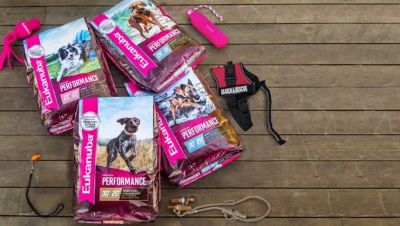 Image showing  Senior Large Breed Chicken Dry Dog Food