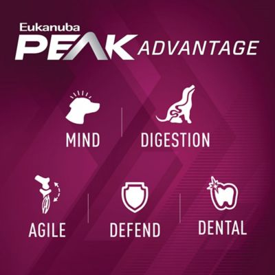 Image showing  Premium Performance Sport 30/20 Dry Dog Food