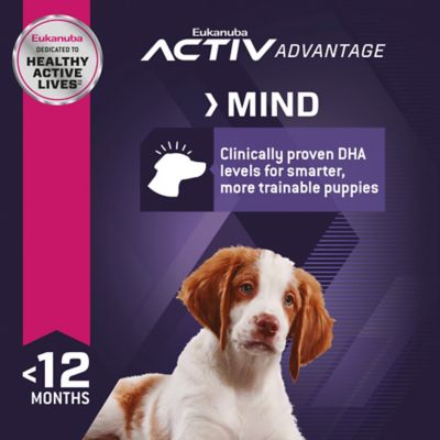 Image showing 7 th Eukanuba Puppy Early Advantage Chicken Formula Dry Dog Food