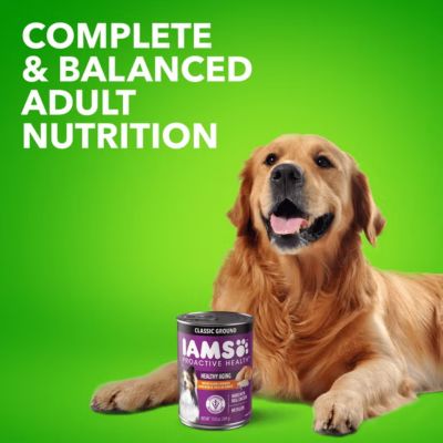 Image showing  Proactive Health Senior Cooked Chicken and Rice Classic Ground Wet Dog Food, 13 oz.