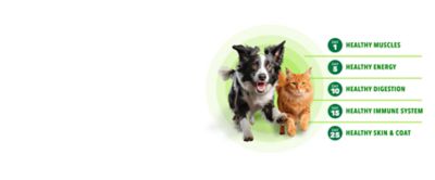 Image showing  Proactive Health Adult Chicken and Whole Grain Rice Classic Ground Wet Dog Food, 13 oz., Pack of 6 Cans