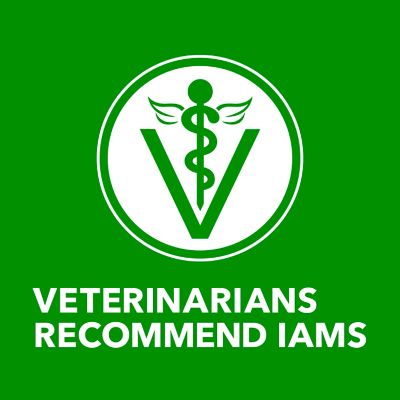 Image showing 5 th Iams ProActive Health w. Chicken and Whole Grains Multipack 6ct