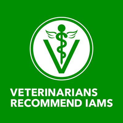 Image showing  Proactive Health Adult Lamb and Rice Classic Ground Wet Dog Food Multi-Pack, 13 oz., 6 pk.