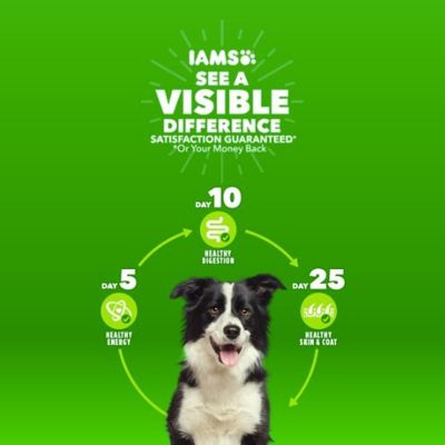 Image showing  ProActive Health Puppy Small Breed Dry Dog Food