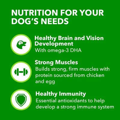 Image showing  ProActive Health Puppy Small Breed Dry Dog Food