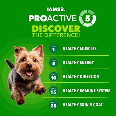 Image showing  ProActive Health Small/Toy Breed Adult Real Chicken Recipe Dry Dog Food, 15 lb. Bag