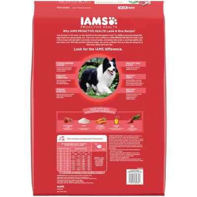 how much iams should i feed my dog