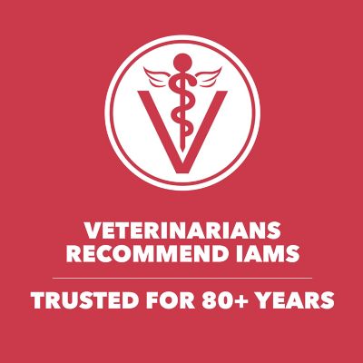 Image showing 6 th Iams ProActive Health MiniChunks Adult Lamb and Rice Recipe Dry Dog Food