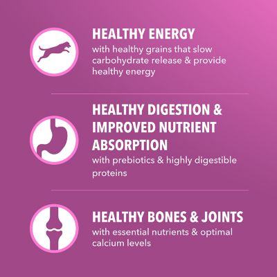 Image showing  ProActive Health Mature Adult Large Breed Dry Dog Food