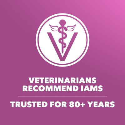 Image showing 6 th Iams ProActive Health Mature Adult Large Breed Dry Dog Food