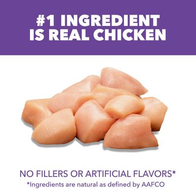 Image showing  Proactive Health Healthy Kitten Chicken Dry Cat Food