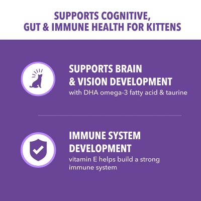 Image showing  Proactive Health Healthy Kitten Chicken Dry Cat Food