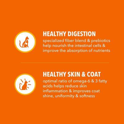 Image showing 5 th Iams Proactive Health Adult Original with Chicken Dry Cat Food