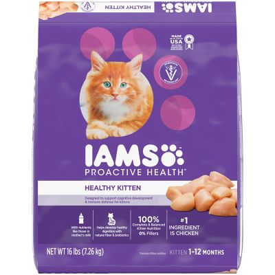 Iams PROACTIVE HEALTH Healthy Kitten Dry Cat Food with Chicken Cat Kibble