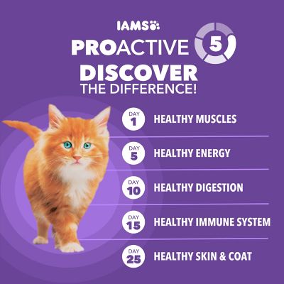 Image showing 5 th Iams ProActive Health Healthy Kitten Indoor/Outdoor Chicken Recipe Dry Cat Food