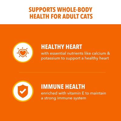 Image showing  ProActive Health Adult Indoor/Outdoor Healthy Salmon Formula Dry Cat Food