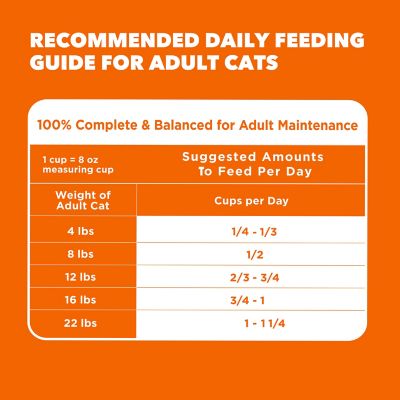 Image showing 8 th Iams ProActive Health Adult Indoor/Outdoor Healthy Salmon Formula Dry Cat Food