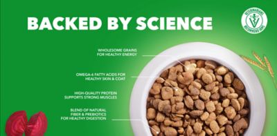 Image showing  Proactive Health Adult Indoor/Outdoor Healthy Salmon Formula Dry Cat Food