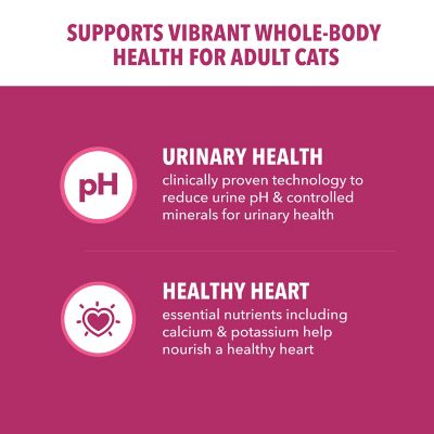 Image showing  Proactive Health Adult Indoor/Outdoor Urinary Tract Health Chicken Recipe Dry Cat Food