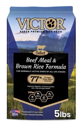 Victor Beef Meal & Rice Dry Dog Food, 5 lb.