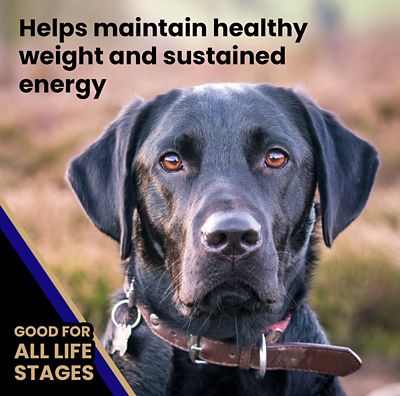 Image showing 8 th Victor All Life Stages Beef and Rice Recipe Dry Dog Food