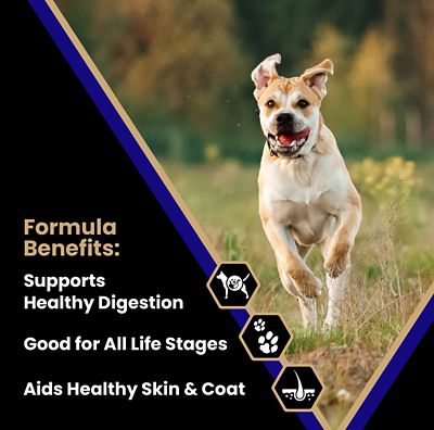 Image showing  All Life Stages Beef and Rice Recipe Dry Dog Food