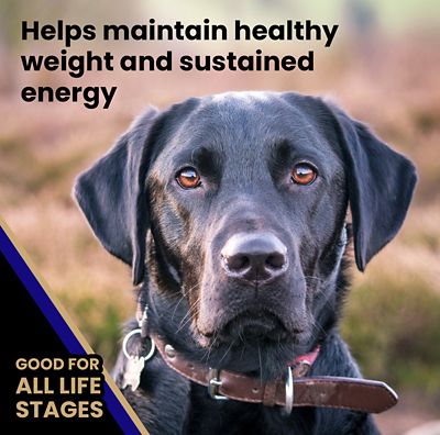 Image showing  All Life Stages Beef and Rice Recipe Dry Dog Food