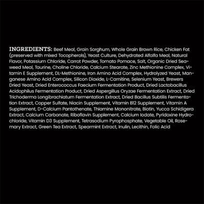 Image showing 9 th Victor All Life Stages Beef and Rice Recipe Dry Dog Food