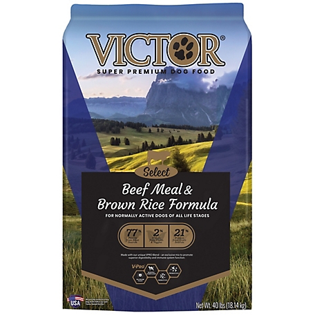 Victor Select All Life Stages Beef and Rice Recipe Dry Dog Food