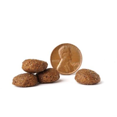 Image showing  All Life Stages Beef and Rice Recipe Dry Dog Food