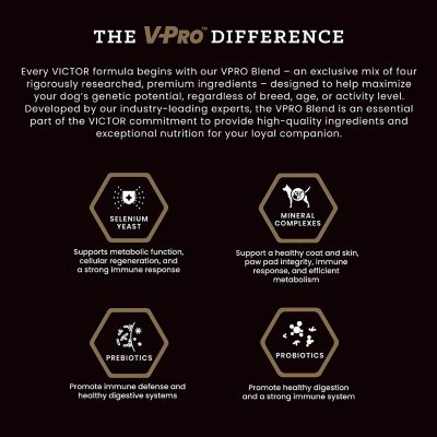 Image showing 6 th Victor All Life Stages Beef and Rice Recipe Dry Dog Food