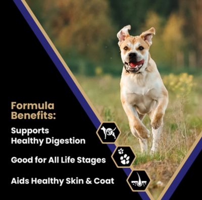 Image showing 8 th Victor All Life Stages Beef and Rice Recipe Dry Dog Food