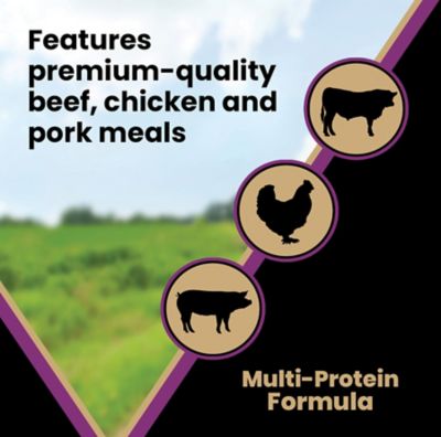 Image showing 5 th Victor Professional Formula All Life Stages Beef Recipe Dry Dog Food