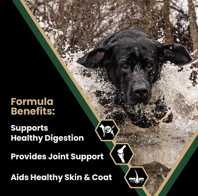 Image showing  Performance Adult Joint Health Beef Recipe Dry Dog Food