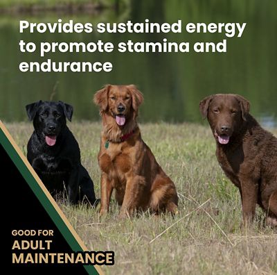 Image showing  Performance Adult Joint Health Beef Recipe Dry Dog Food