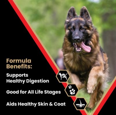 Image showing 2 th Victor High Energy All Life Stages Beef Recipe Dry Dog Food