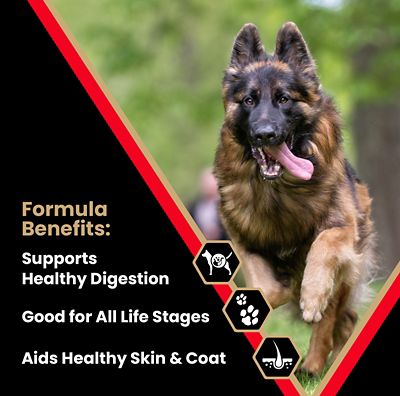 Image showing  High Energy All Life Stages Beef Recipe Dry Dog Food