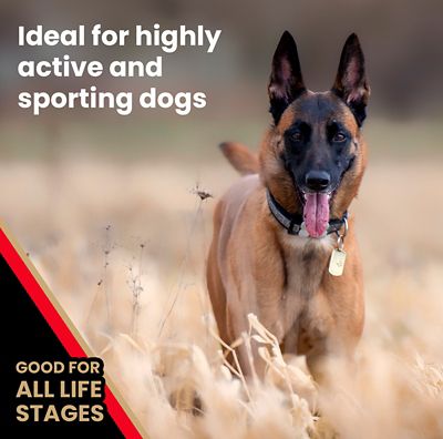 Image showing  High Energy All Life Stages Beef Recipe Dry Dog Food